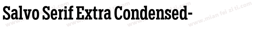 Salvo Serif Extra Condensed字体转换